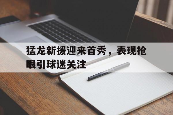 猛龙新援迎来首秀，表现抢眼引球迷关注