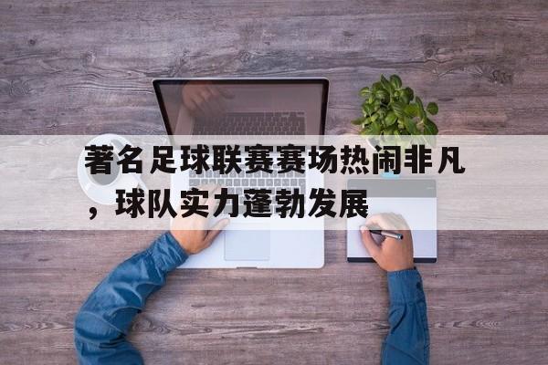 著名足球联赛赛场热闹非凡，球队实力蓬勃发展